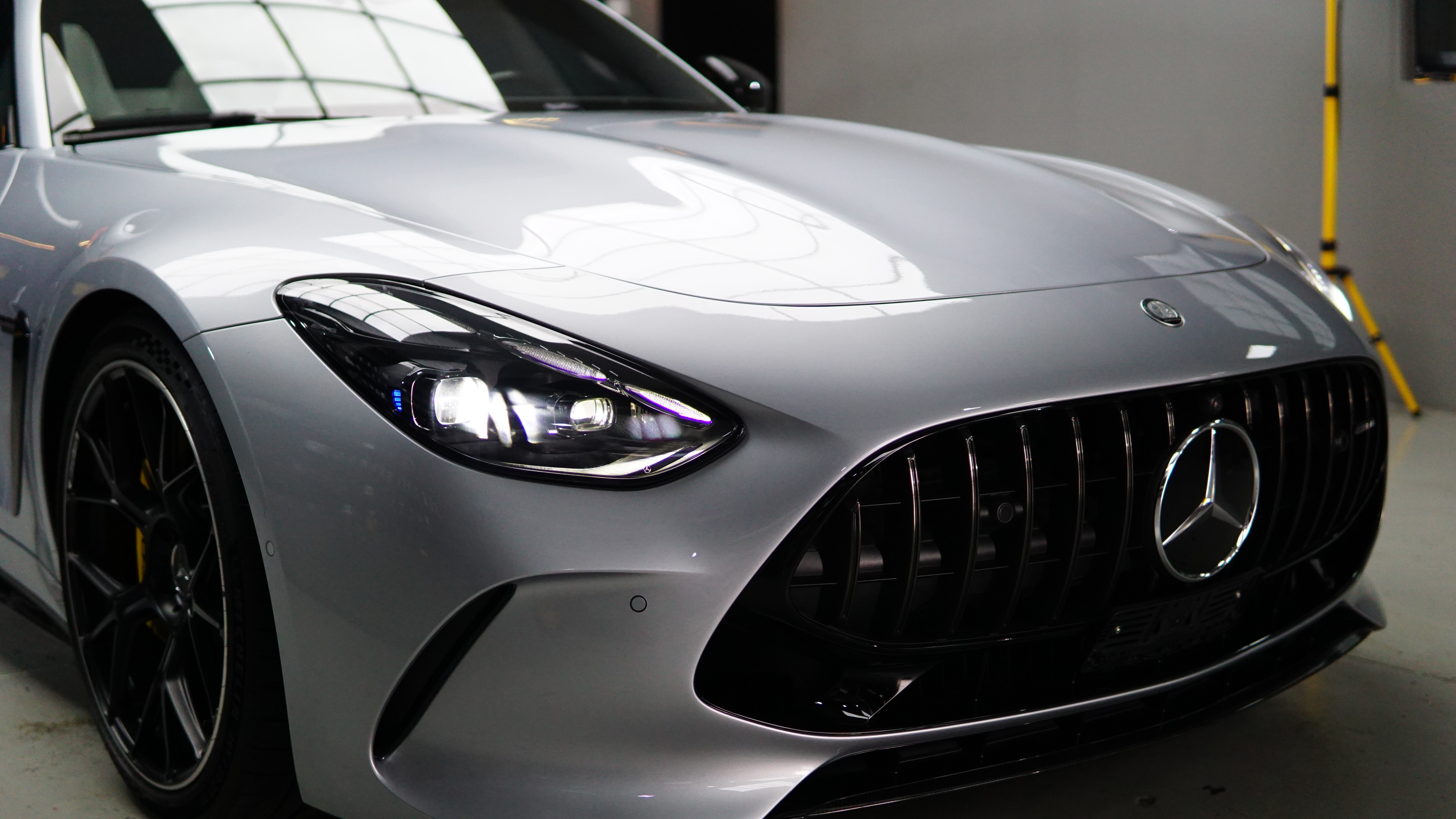 Professional Paint Correction